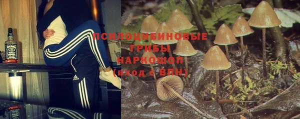 jwh Алзамай