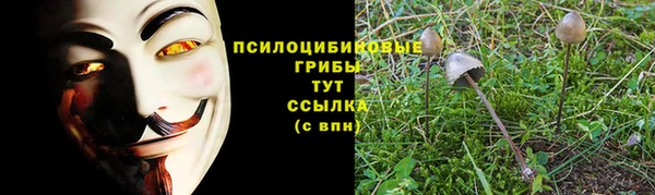 PSILOCYBIN Алексин