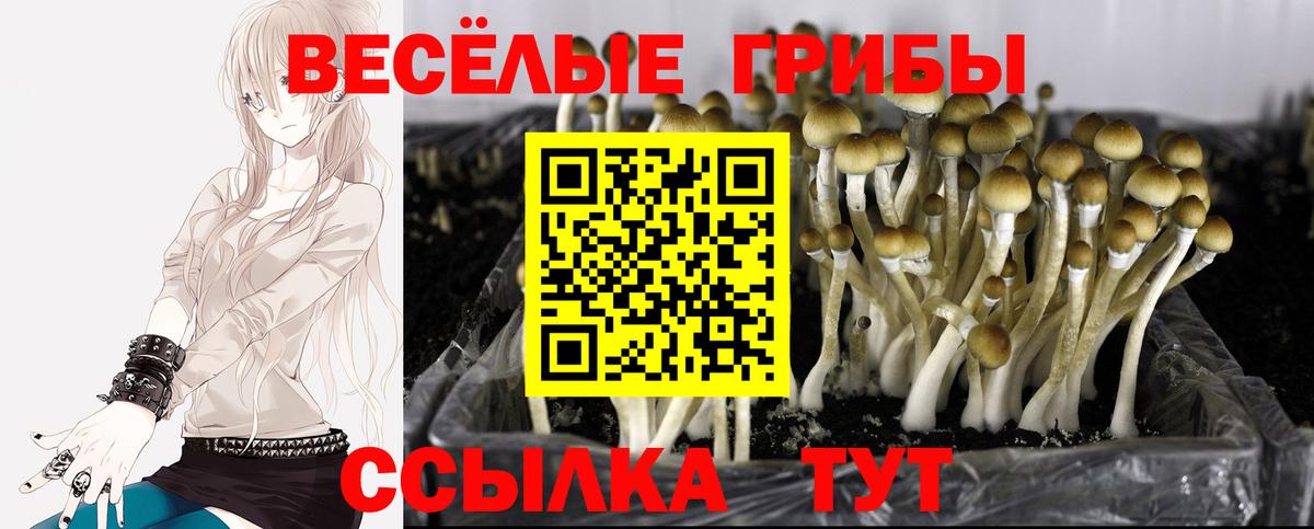 Псилоцибиновые грибы MAGIC MUSHROOMS Лиски