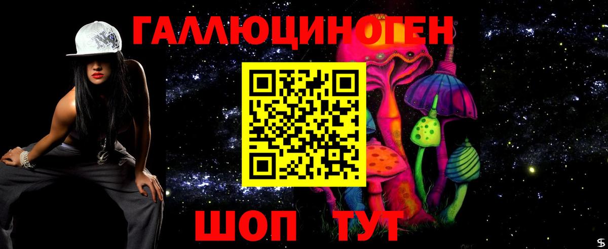 Галлюциногенные грибы Psilocybine cubensis  Галлюциногенные грибы Cubensis  Лиски  Вход с VPN 